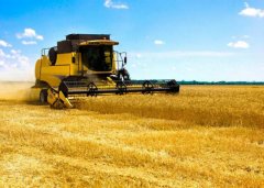 强麦基本面分析，影响强麦期货价格的主要因素有哪些？